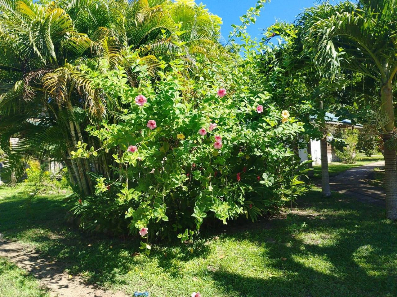 Chez Michellin Pensions Residence La Digue Exterior foto